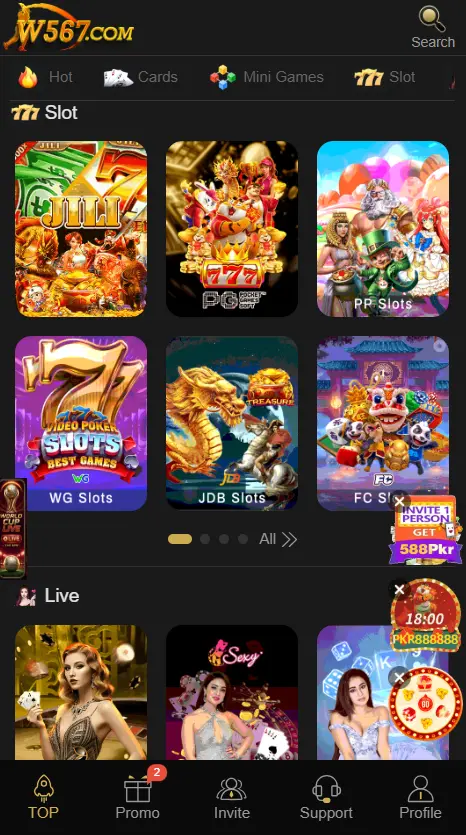 W567 Game