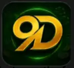 9D Game